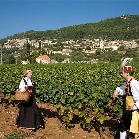 Kzara Διαμέρισμα Zavalatica