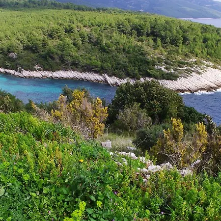 Kzara Διαμέρισμα