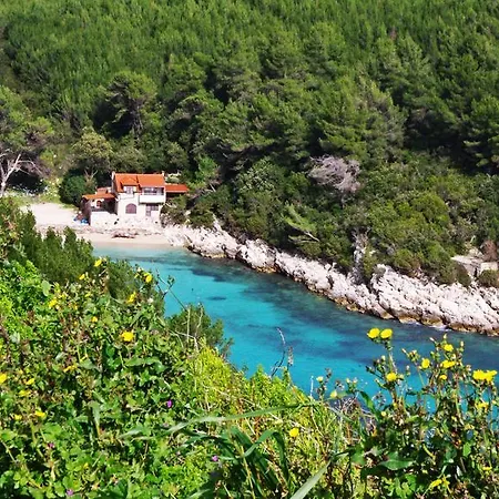 Kzara Zavalatica